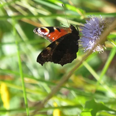 Casa De Sao Joao Gandarela de Basto