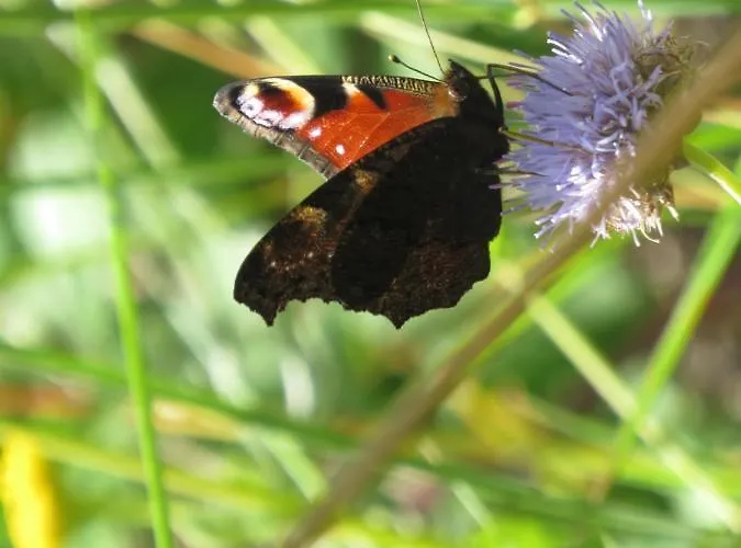 Casa De Sao Joao Gandarela de Basto